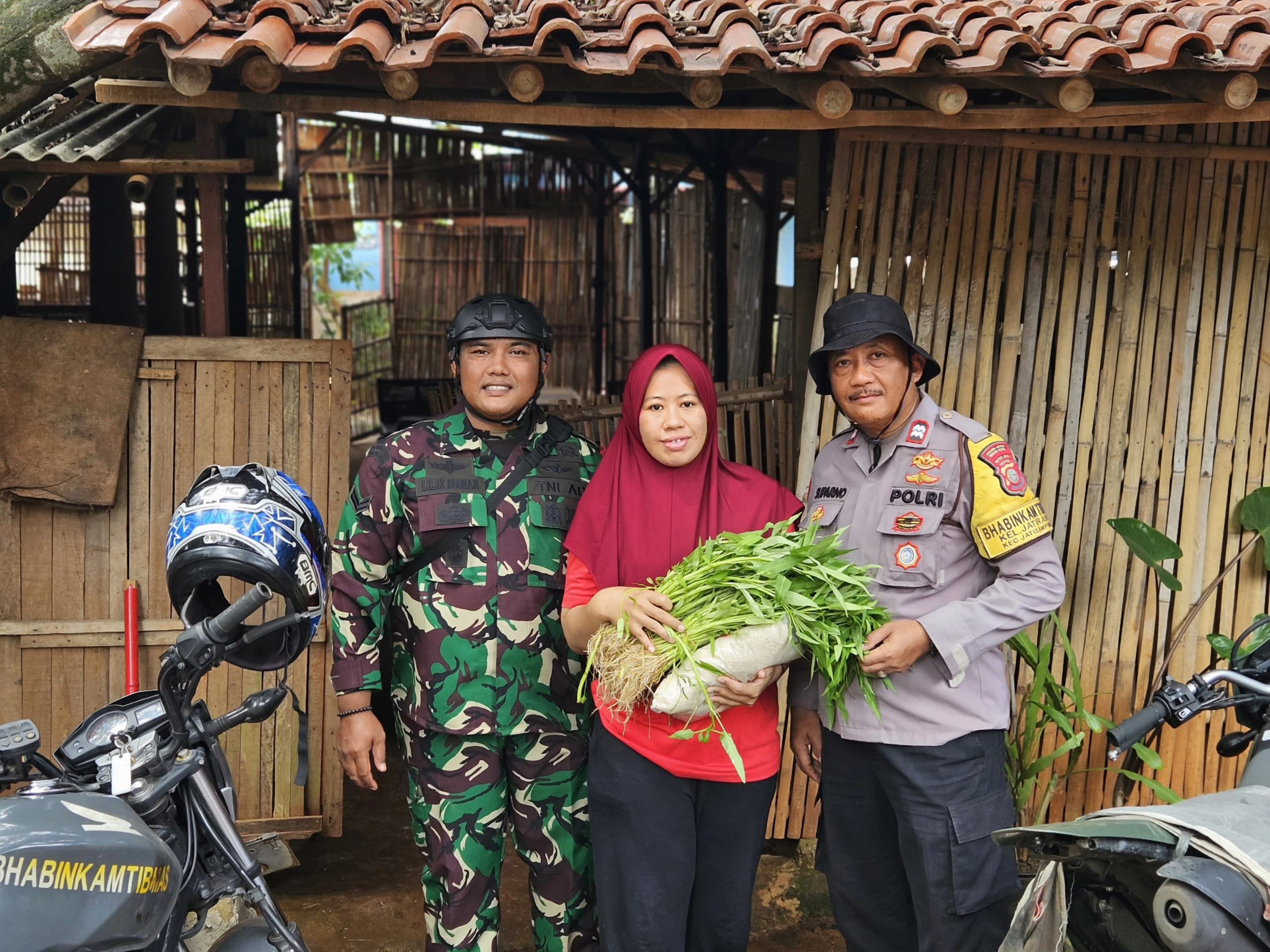 IMG-20241227-WA0016(1)