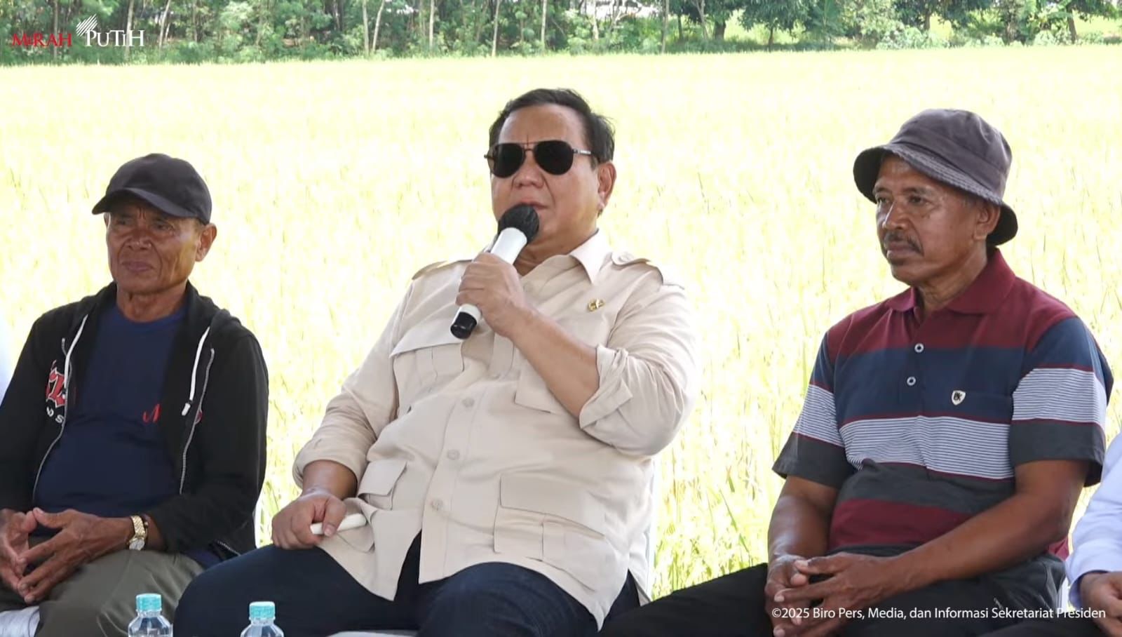 IMG-20250407-WA0019(1)