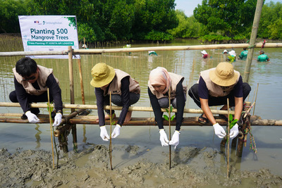 KAI Logistik Tanam 500 Mangrove