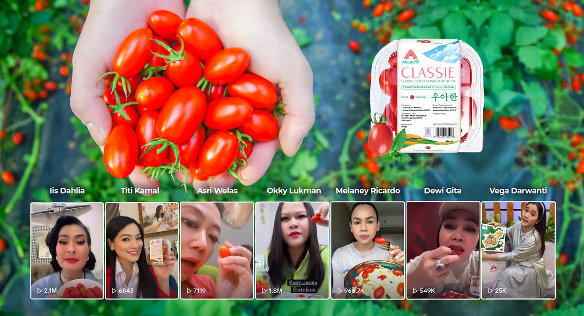 Cherry Tomato Stevia Astyfarm