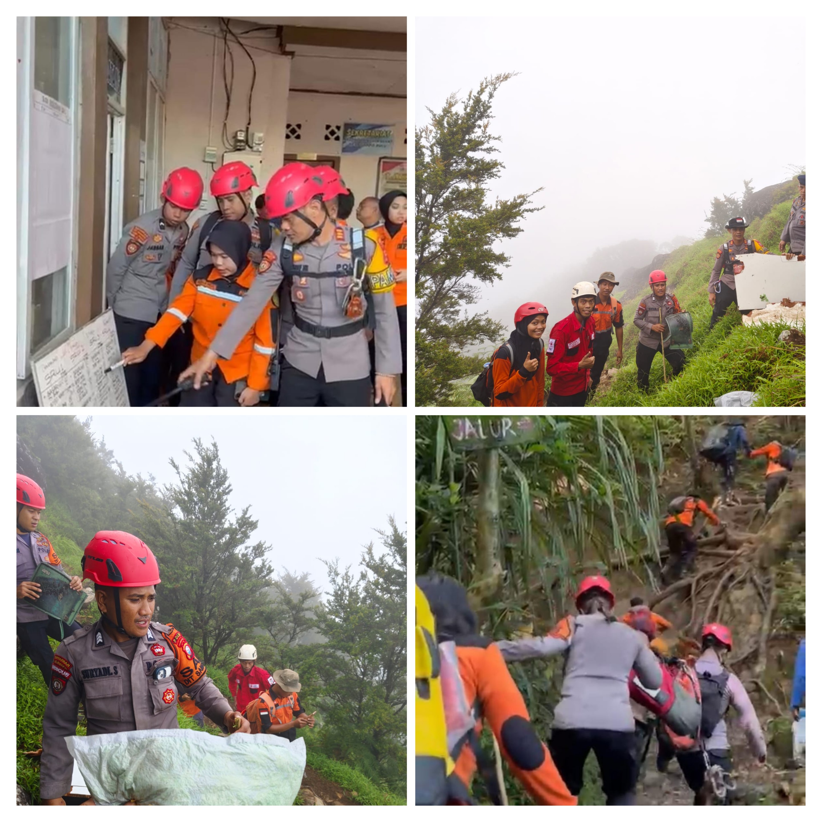 20260119_002809-COLLAGE