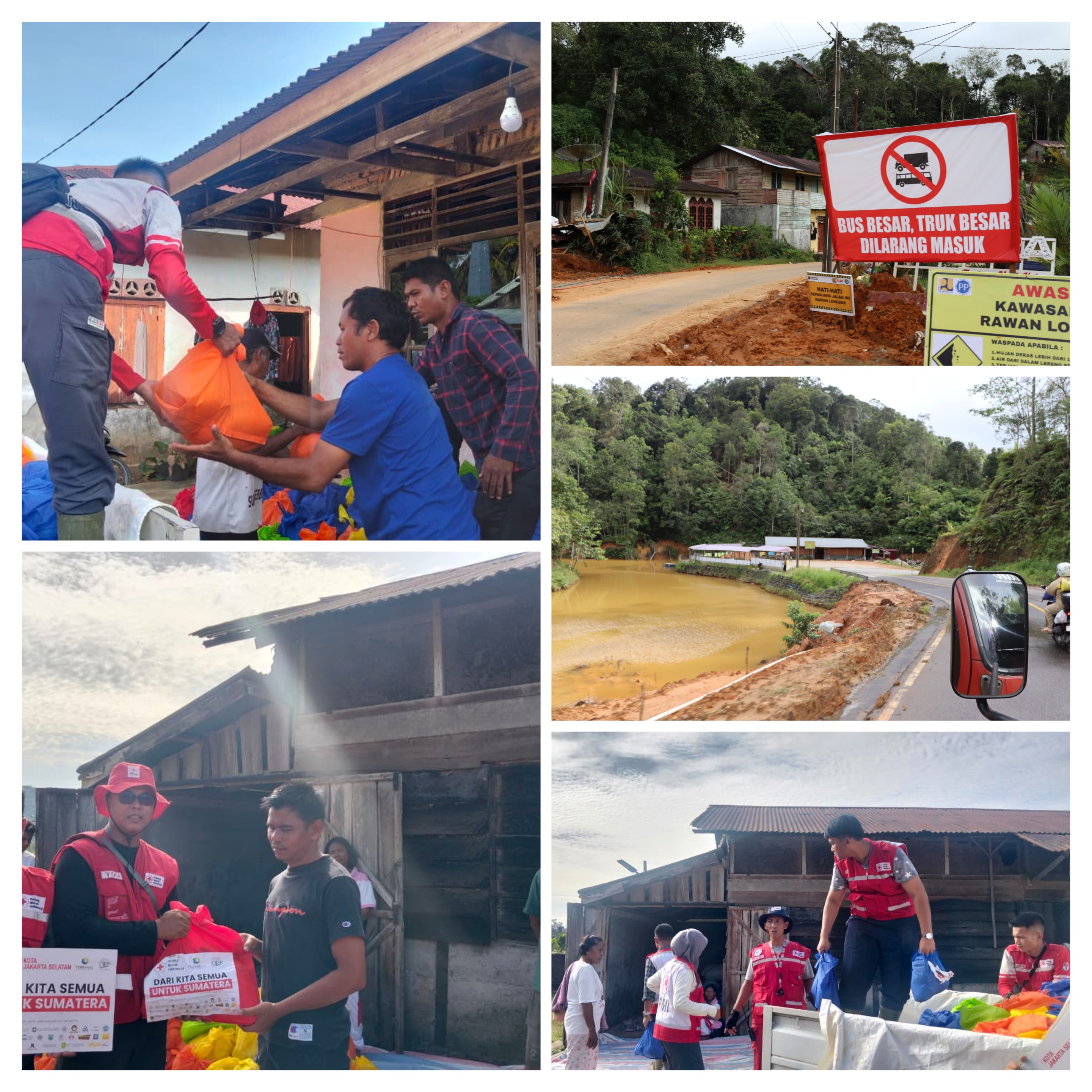 20260120_080449-COLLAGE