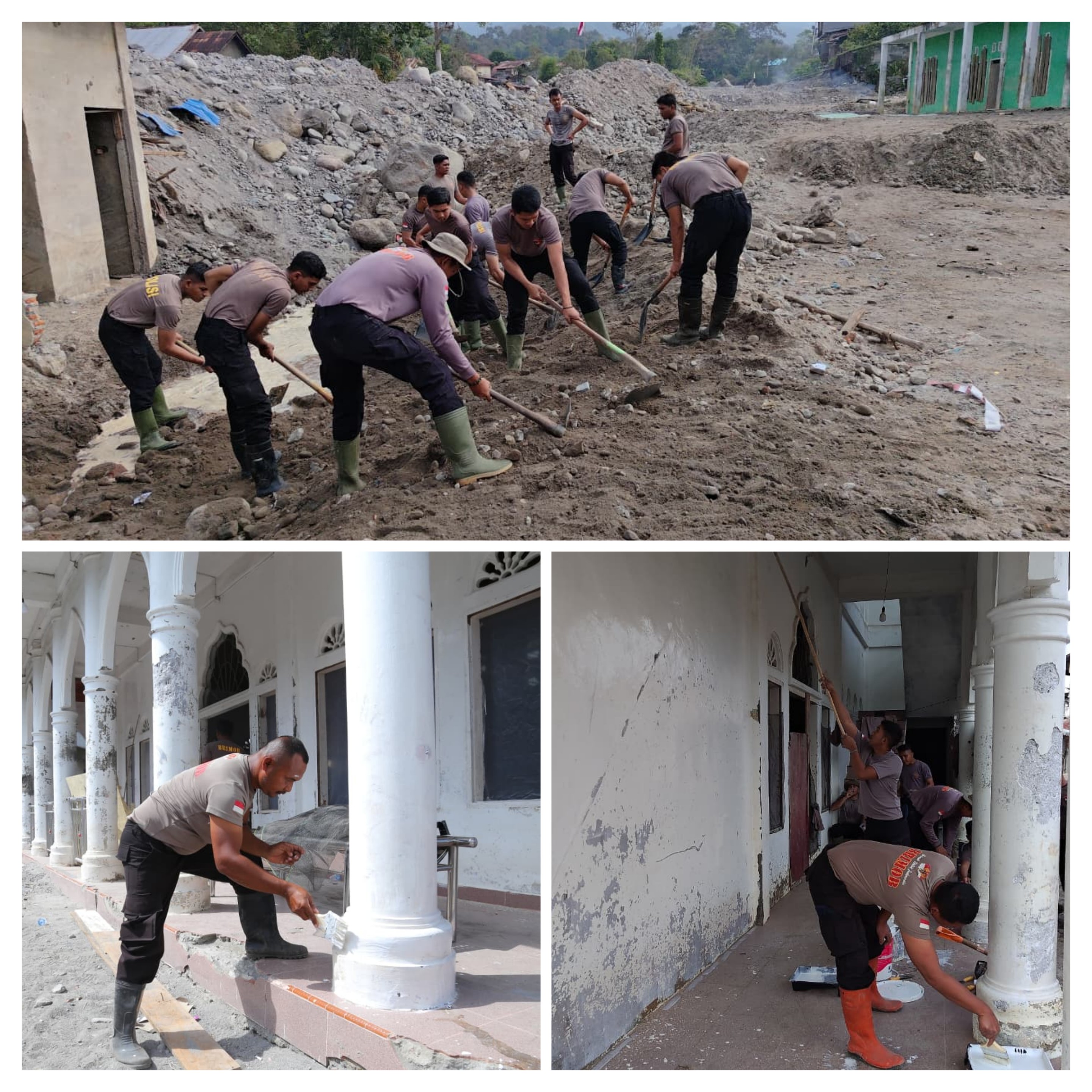 20260202_202908-COLLAGE