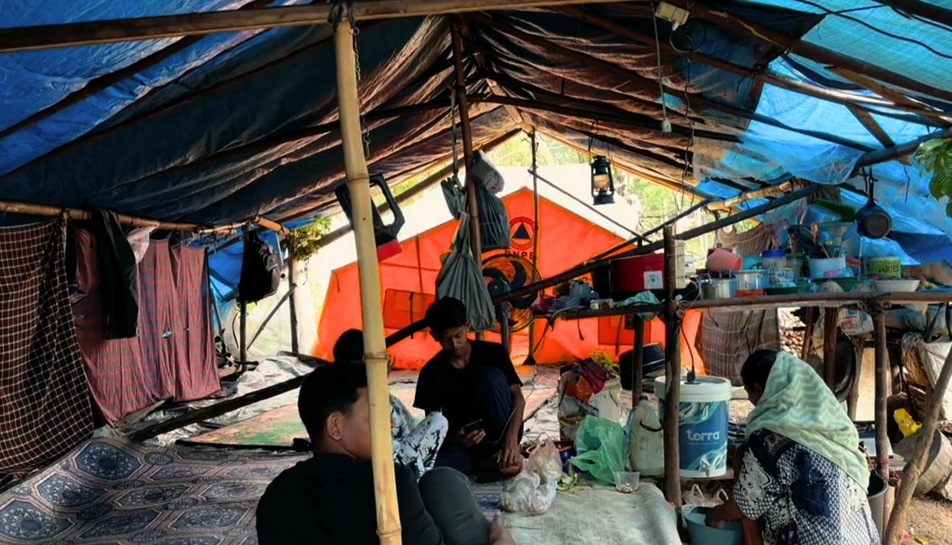 20260319-2373df8e-70e9-4205-9365-c46c10b3e0d0