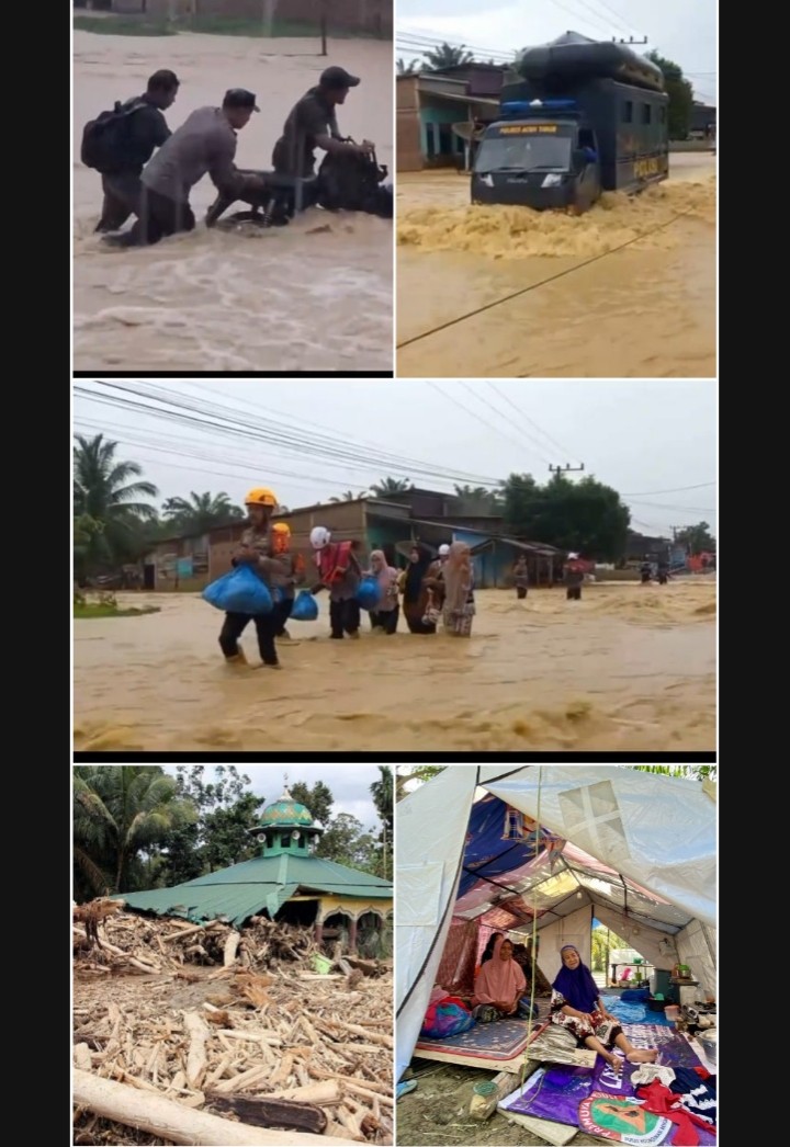 Screenshot_20260320_022451~2