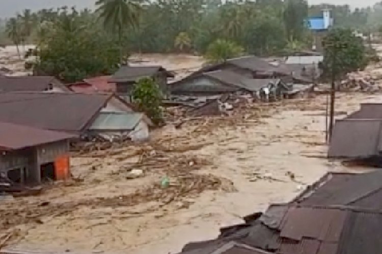 image_750x500_692564793f5bf (1)