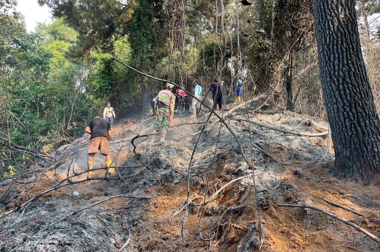 Kebakaran Hutan Burangrang di Bojong Purwakarta